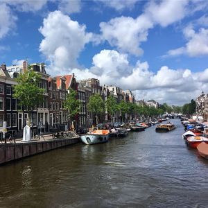 Meet your Posher, Mallory